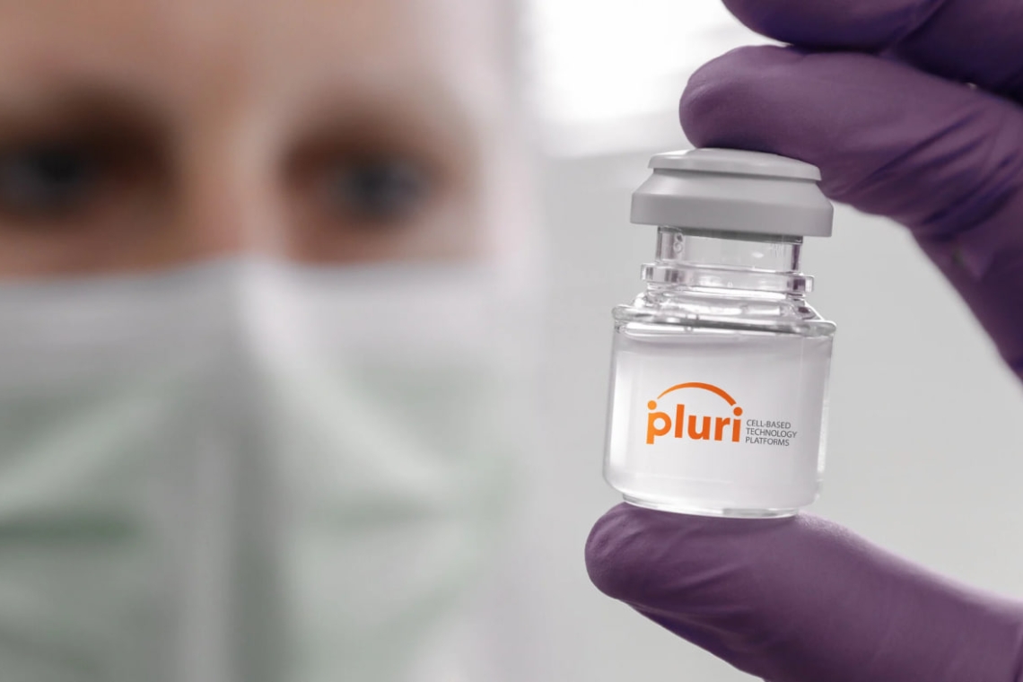 Pluri 