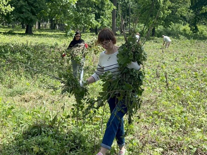 єврейське кладовище, чернігів